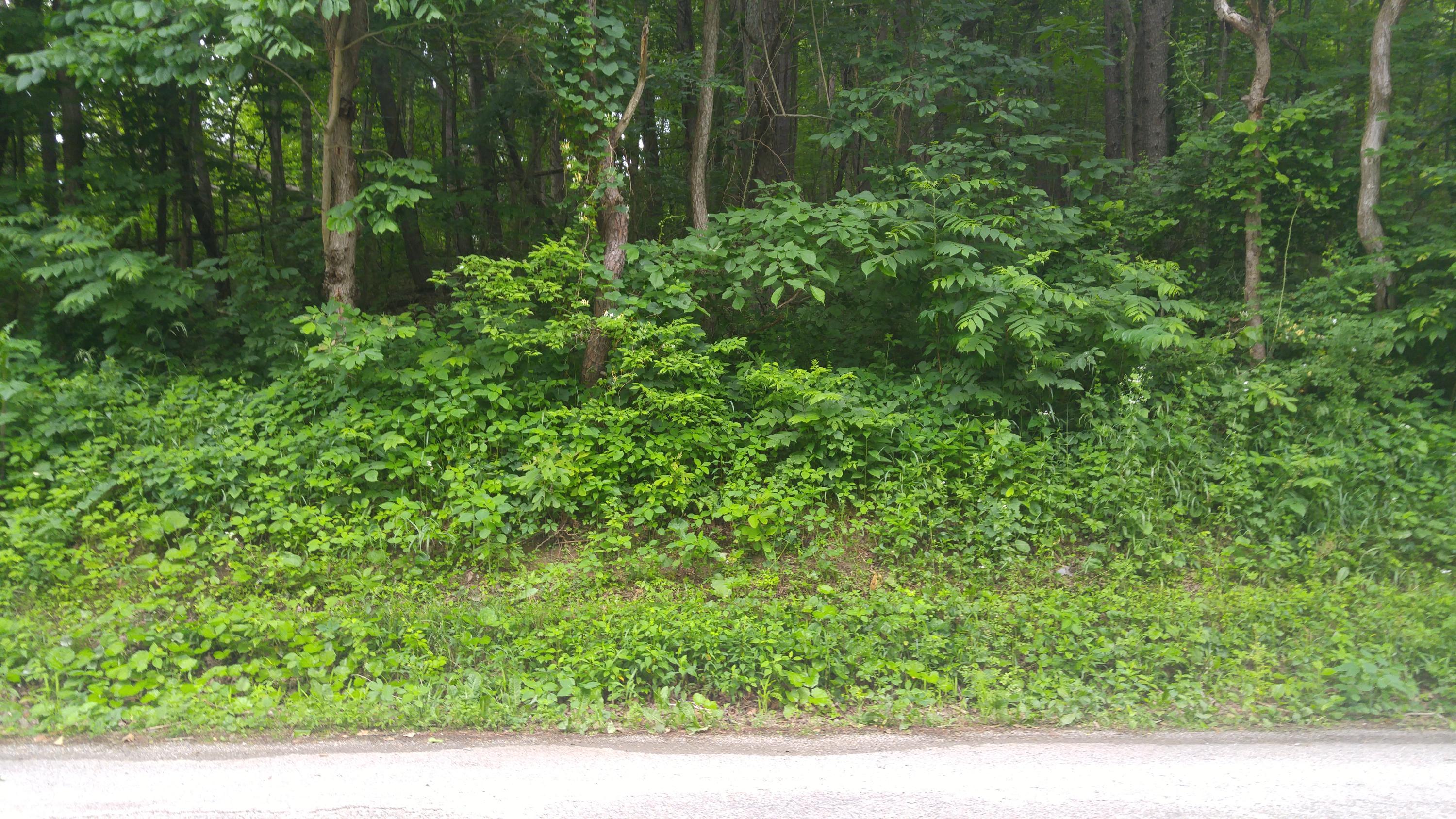 0 Pleasant Valley Road Logan, OH 43138 - Photo 2 of 2 Gallery Image 2