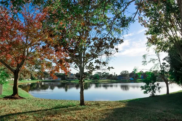 a view of a lake in a forest