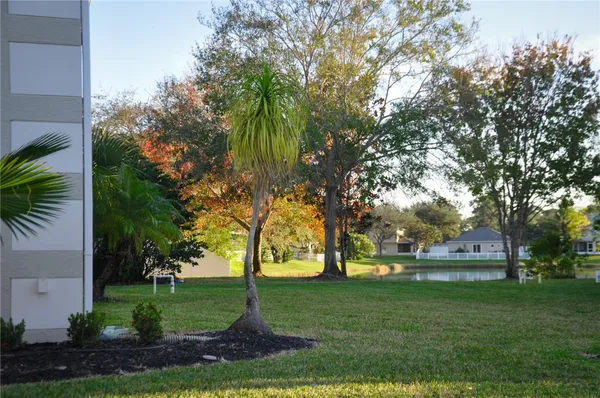 a view of a park that has large trees