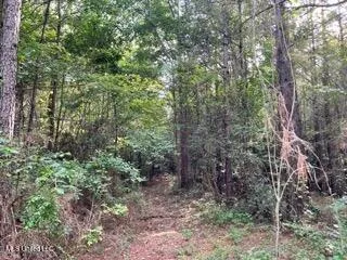 $130,200 | 0 Road 270 Union, Union, MS 39365