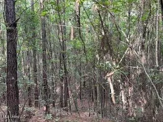 $130,200 | 0 Road 270 Union, Union, MS 39365