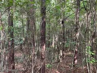 $130,200 | 0 Road 270 Union, Union, MS 39365
