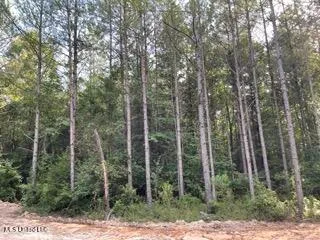$130,200 | 0 Road 270 Union, Union, MS 39365