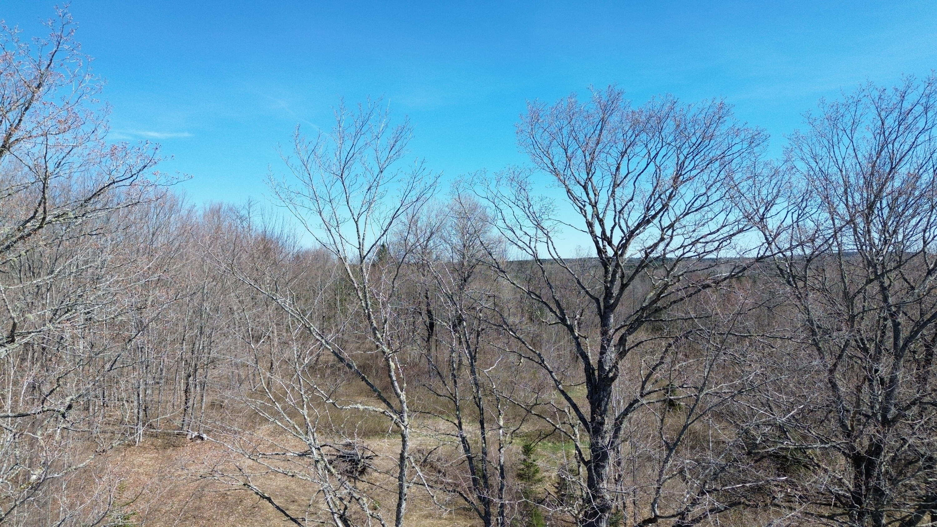 1-l 12c B Road Houlton, ME 04730 - Photo 5 of 9 DJI_0182