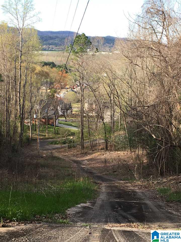 230 County Line Road Oxford, AL 36203 - Photo 7 of 50