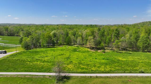 4 Mcclendon Road Nancy, KY 42544 - Photo 2 of 4 DJI_20230621143228_0019_D