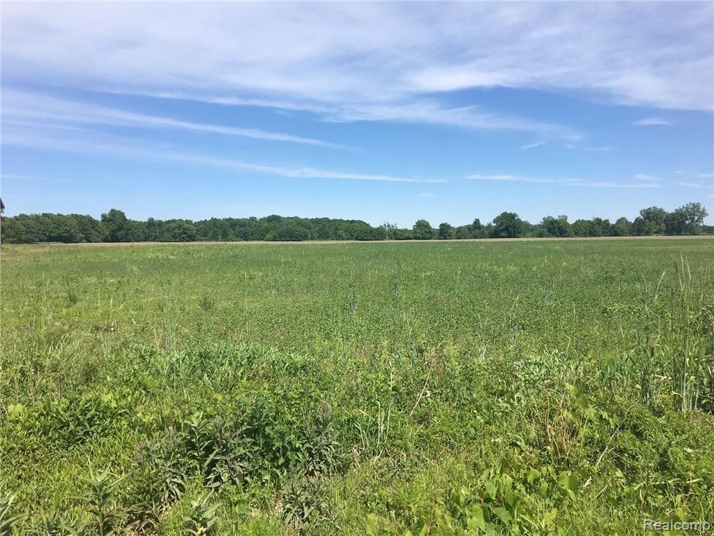 Parcel O Reynolds Road Imlay City, MI 48412 - Photo 5 of 7