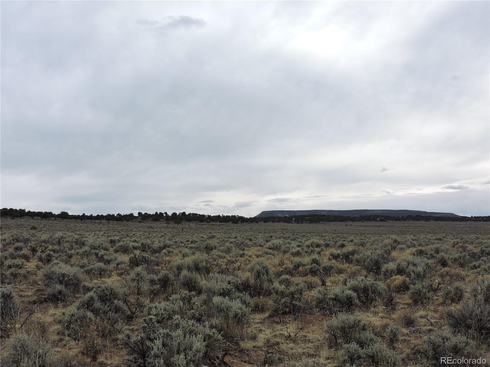 3574 Sultzberger Road Fort Garland, CO 81133 - Photo 12 of 17 Gallery Image 12