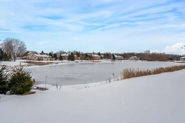 a view of water with tall trees