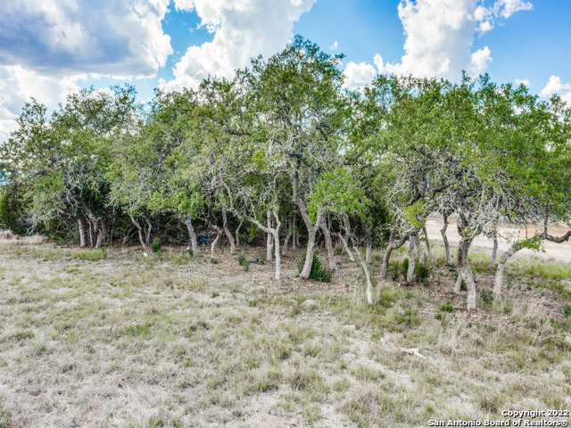 736 Sharp Spgs Road Bulverde, TX 78163 - Photo 11 of 14 a view of a yard with plants and a tree
