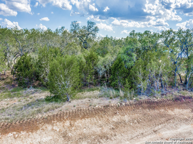 736 Sharp Spgs Road Bulverde, TX 78163 - Photo 2 of 14 a view of a yard with a tree
