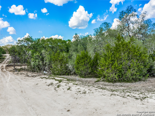 736 Sharp Spgs Road Bulverde, TX 78163 - Photo 3 of 14 a view of a yard with a tree