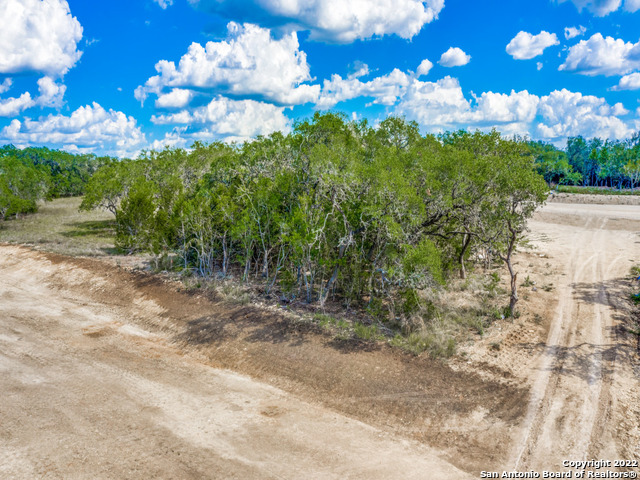 736 Sharp Spgs Road Bulverde, TX 78163 - Photo 5 of 14 a view of a bunch of trees in the background