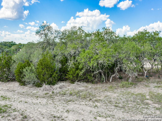 736 Sharp Spgs Road Bulverde, TX 78163 - Photo 6 of 14 a view of a tree in a yard