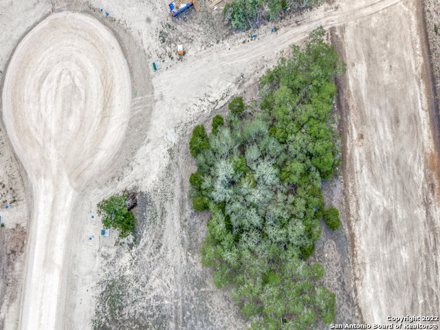 736 Sharp Spgs Road Bulverde, TX 78163 - Photo 10 of 14 a close up of a plant with a plant