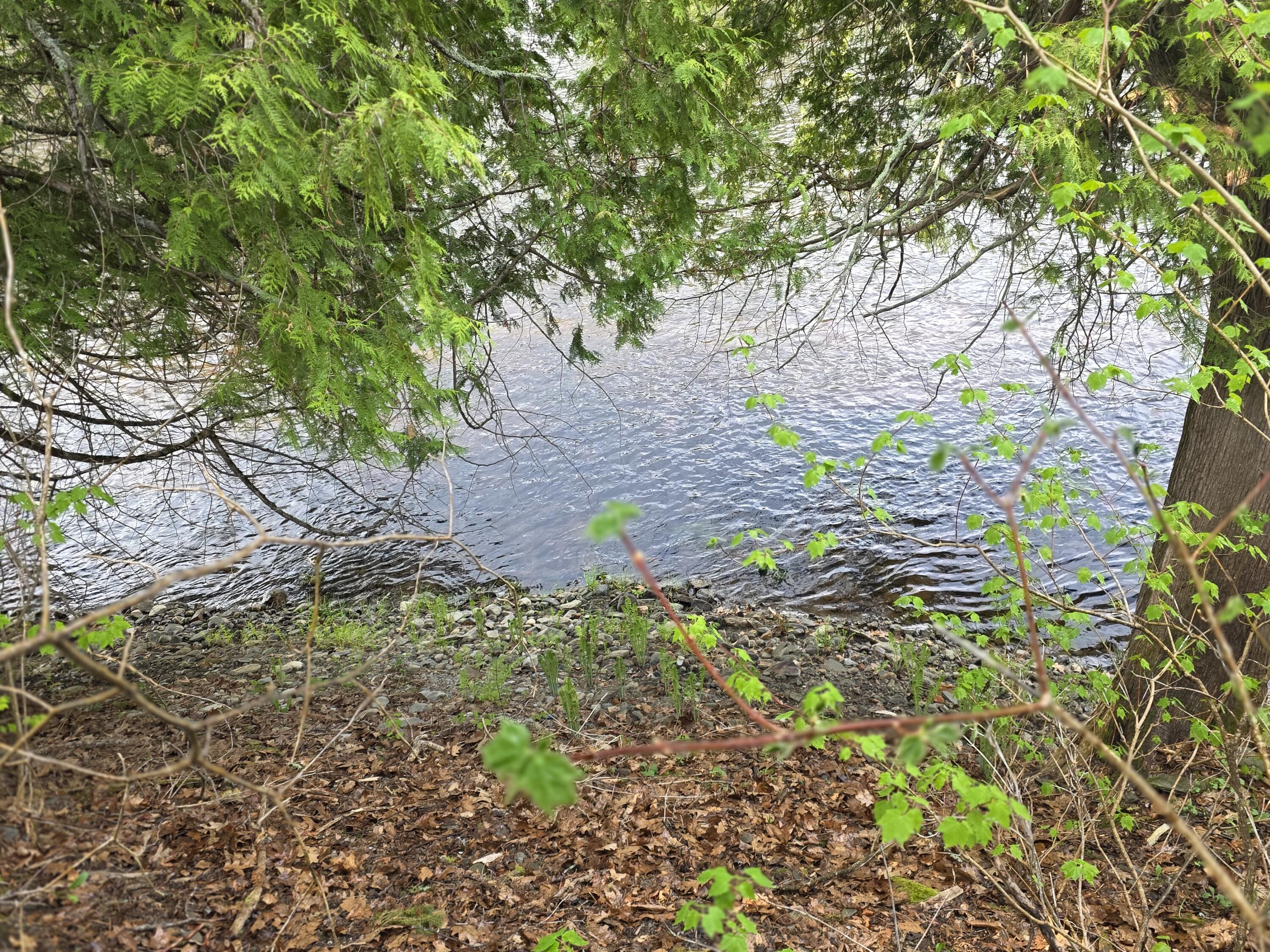 46 Harding Street Island Falls, ME 04747 - Photo 10 of 12 20260519_175804