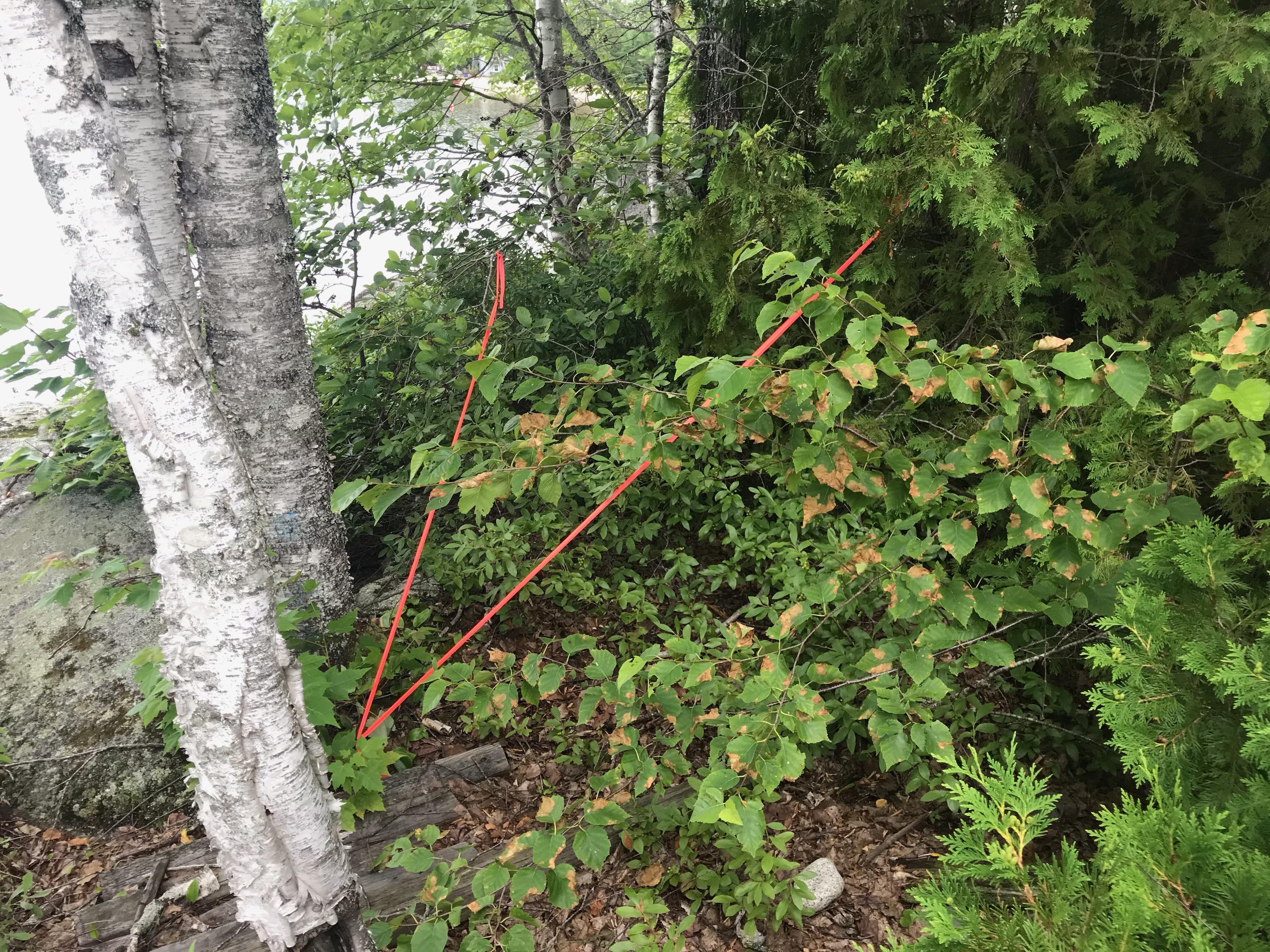 10 Map Bend Burlington, ME 04417 - Photo 11 of 22 IMG_6076