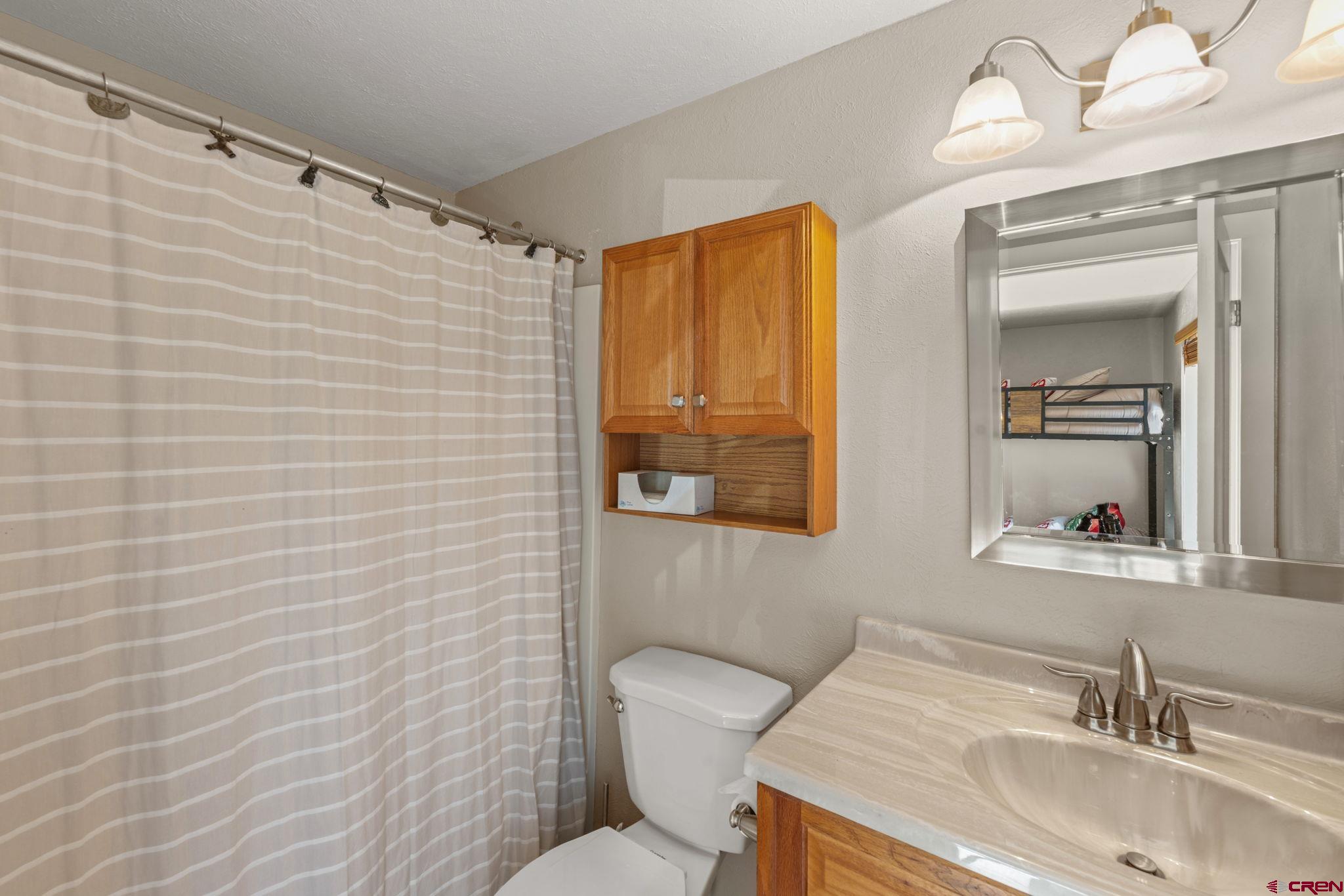 651 Gothic Road, Unit 502 Crested Butte, CO 81225 - Photo 24 of 44 a bathroom with a sink a toilet and mirror