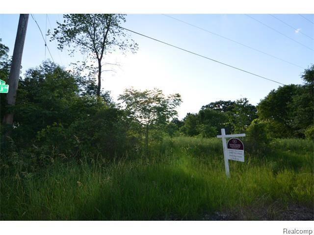 Vacant Rattalee Lake Road Fenton, MI 48430 - Photo 6 of 7