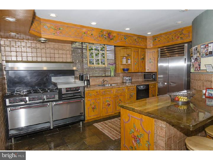 172 Gramercy Road Bala Cynwyd, PA 19004 - Photo 8 of 25 Gallery Image 8