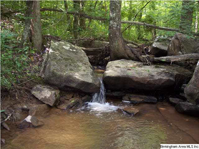 0 Silley Dean Road Northwest, Unit 277 AC Pinson, AL 35126 - Photo 5 of 19