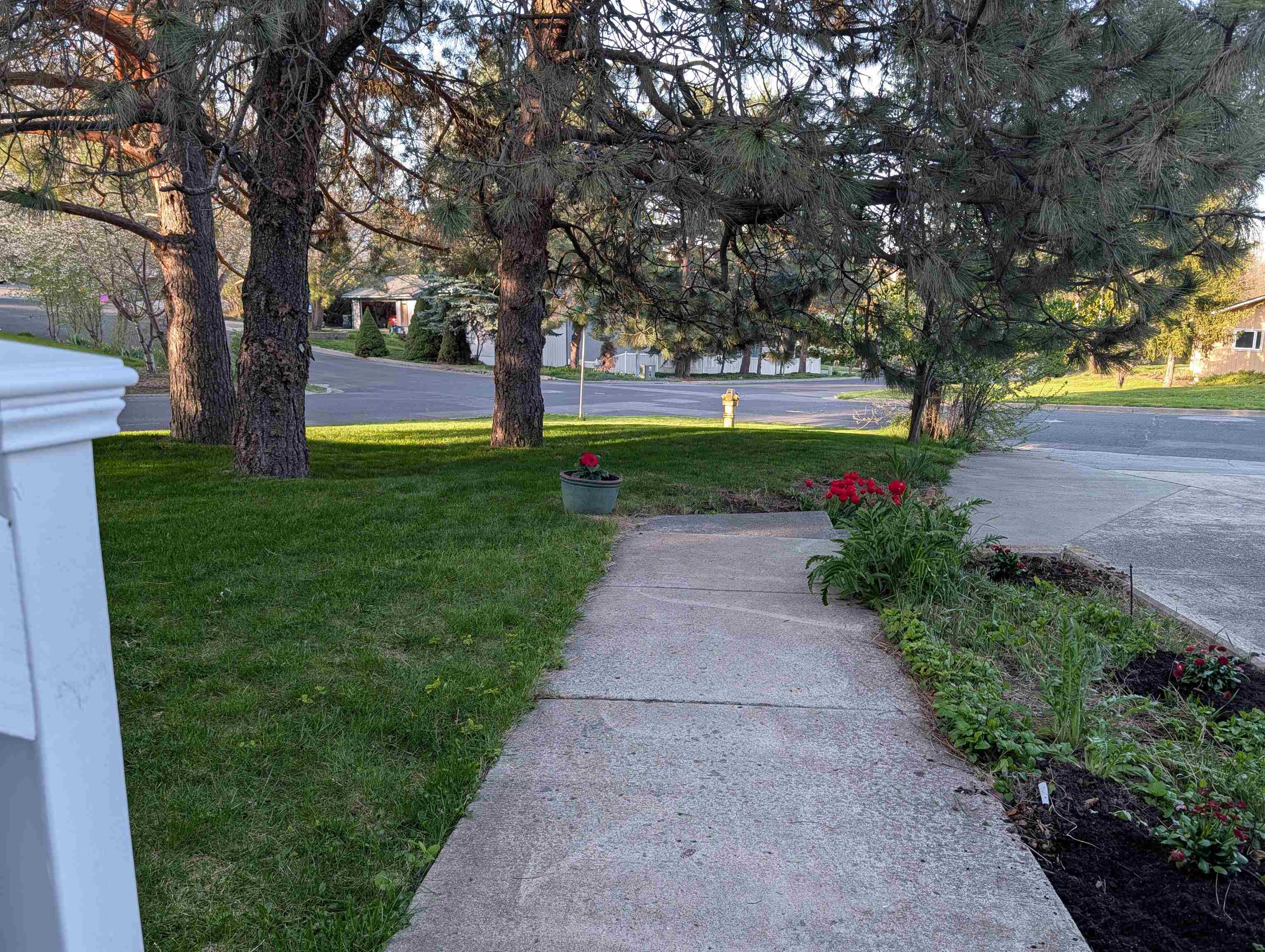 795 Southeast Greenhill Road Pullman, WA 99163 - Photo 3 of 50
