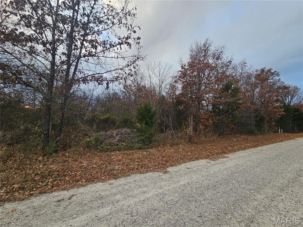 0 Rhapsody Road Richland, MO 65556 - Photo 2 of 2