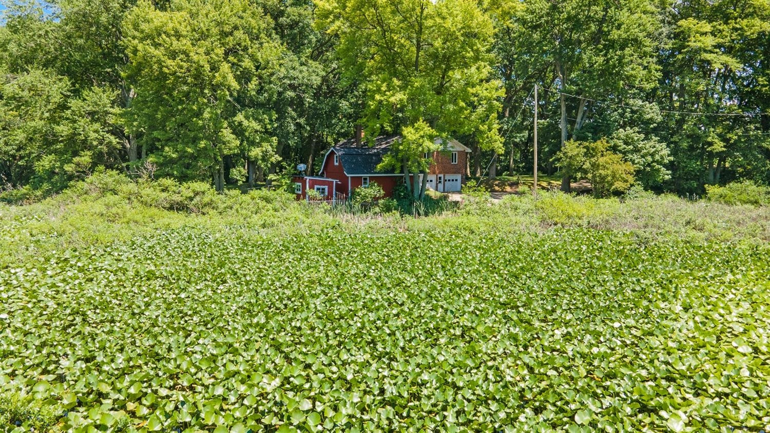 8850 Werkner Road Chelsea, MI 48118 - Photo 30 of 34 Photo 30