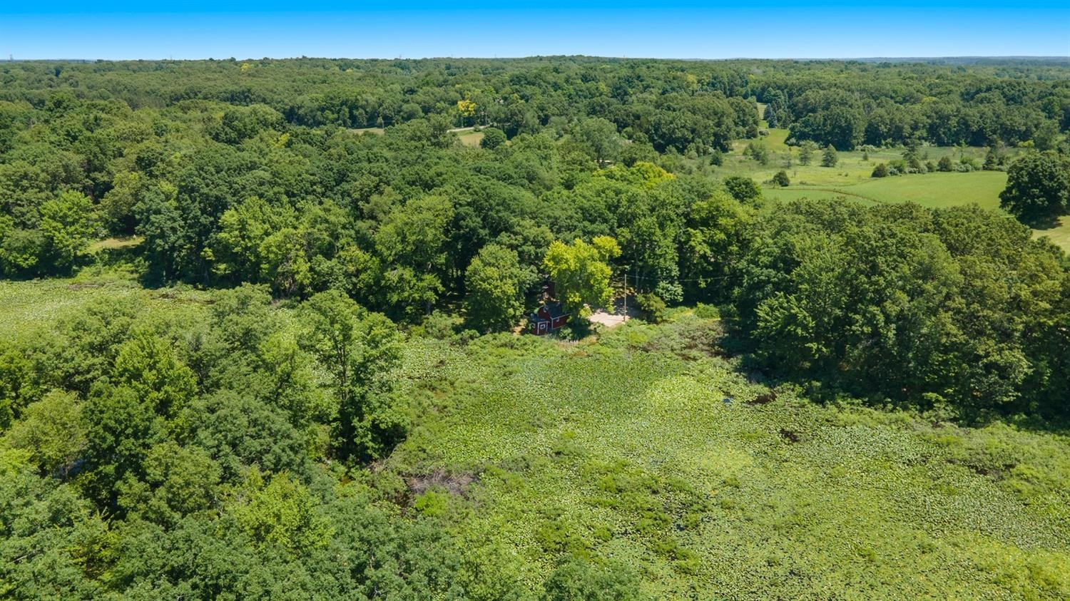 8850 Werkner Road Chelsea, MI 48118 - Photo 31 of 34 Photo 31