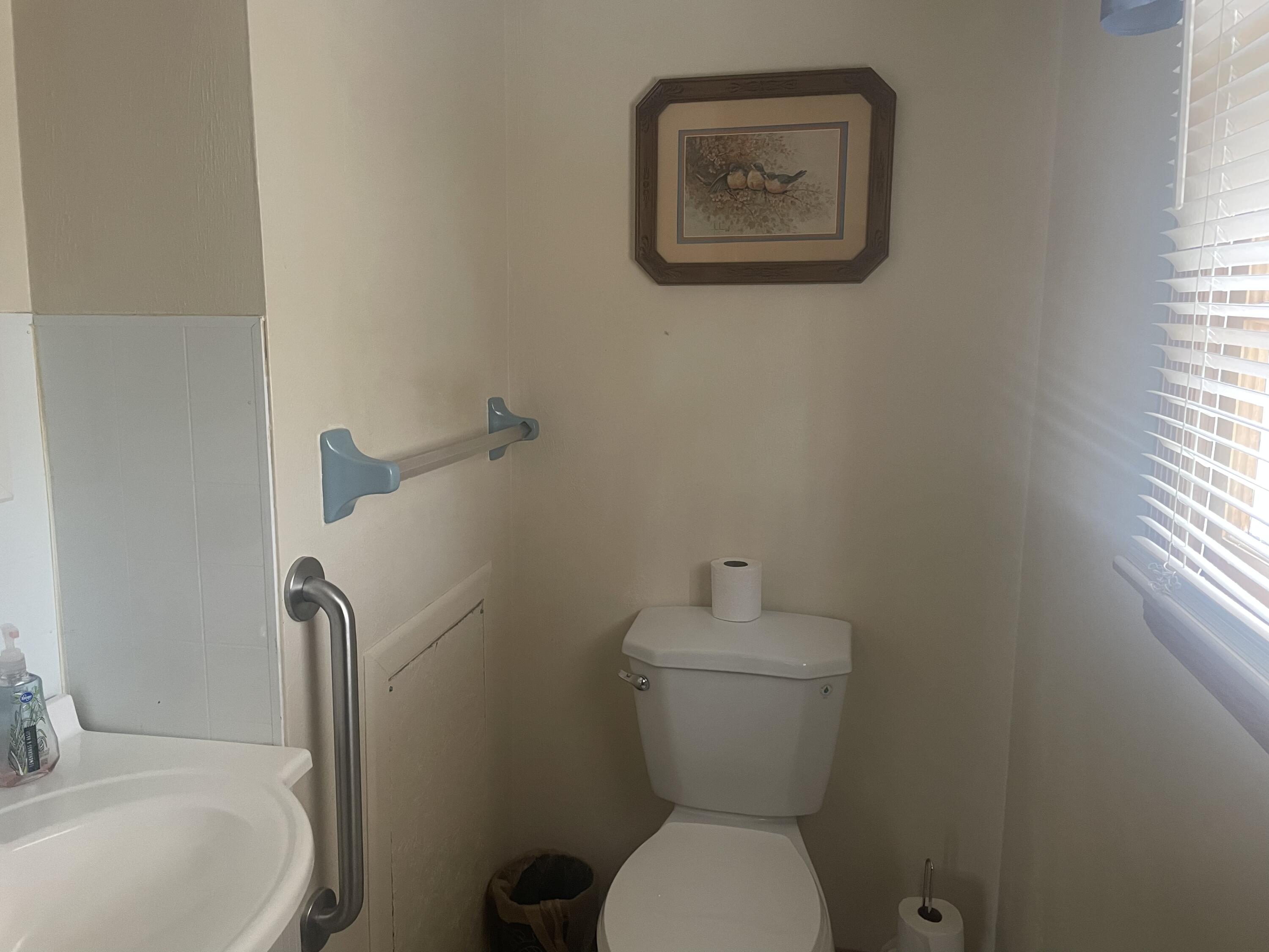 1077 Ross Road Vinton, VA 24179 - Photo 14 of 20 Master half bath