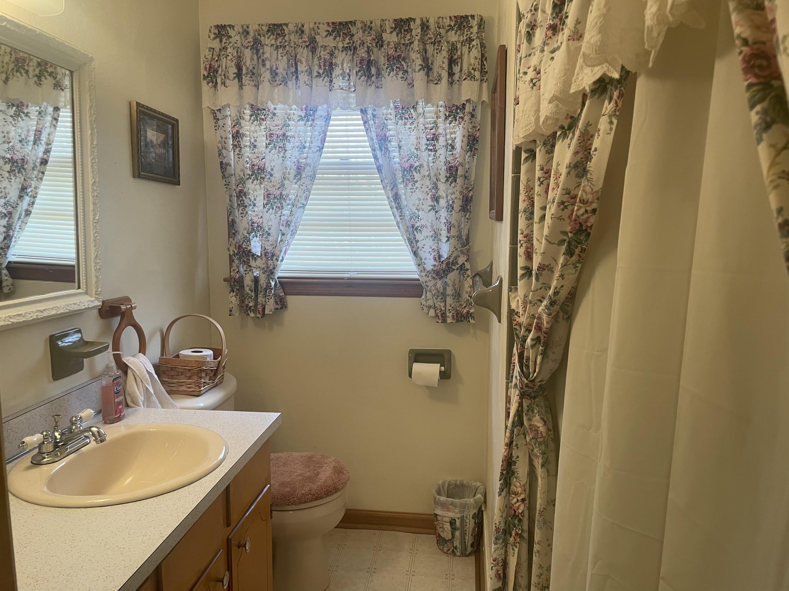 1077 Ross Road Vinton, VA 24179 - Photo 15 of 20 Hall bath