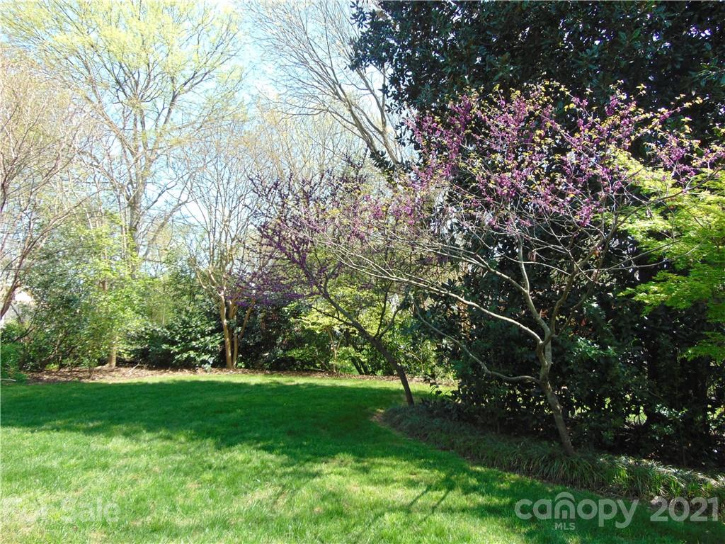 815 Burnley Road Charlotte, NC 28210 - Photo 28 of 31 Gallery Image 28