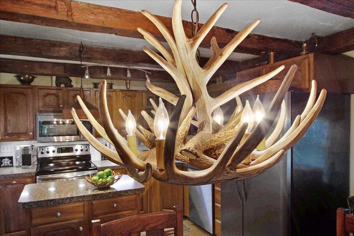 19840 Shirk Road Marysville, OH 43040 - Photo 42 of 62 Antler light stays