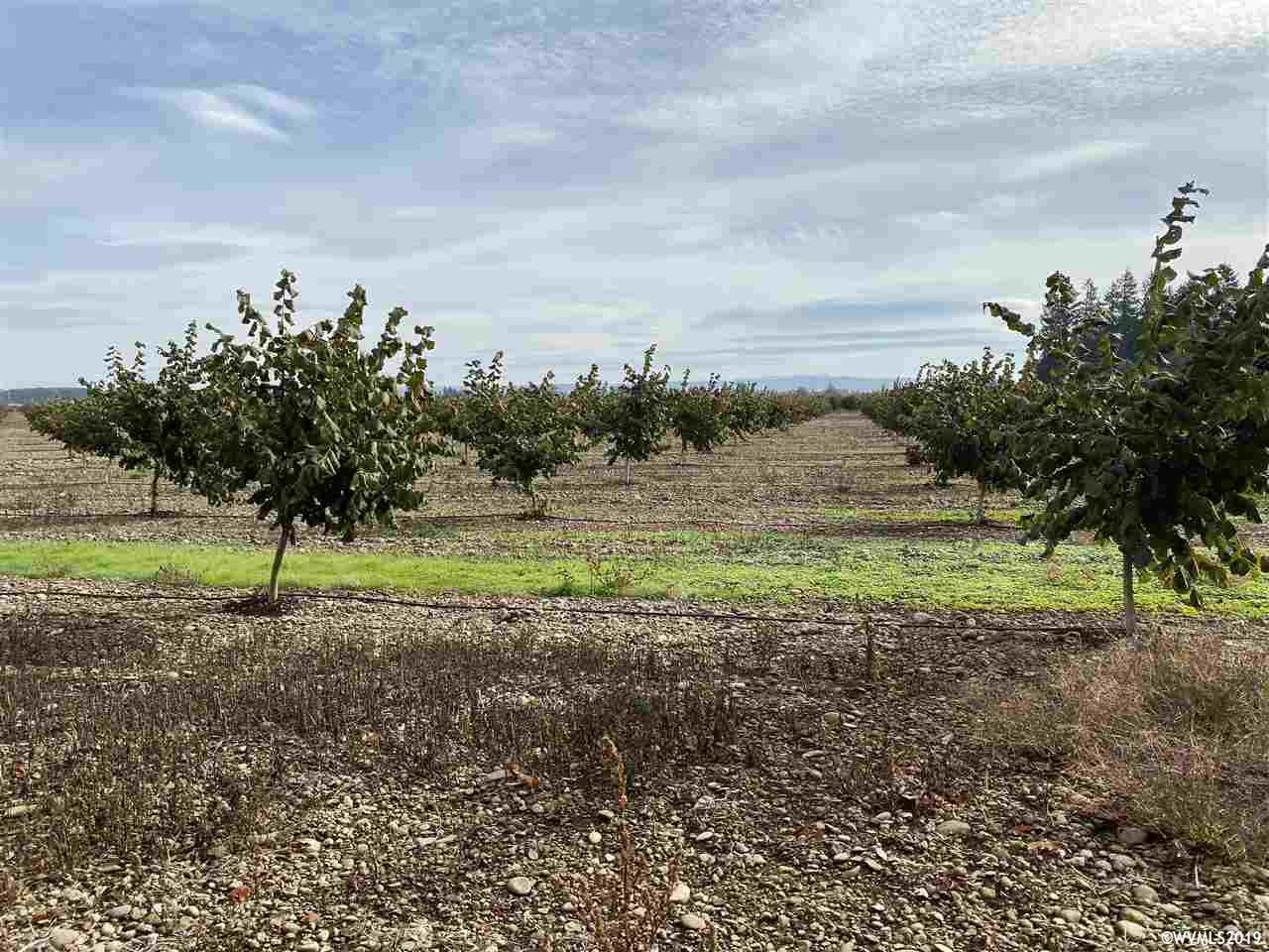 10725 Mix Road Southeast Aumsville, OR 97325 - Photo 23 of 23