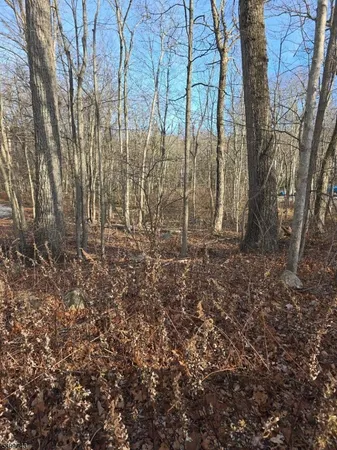 a view of backyard with green space