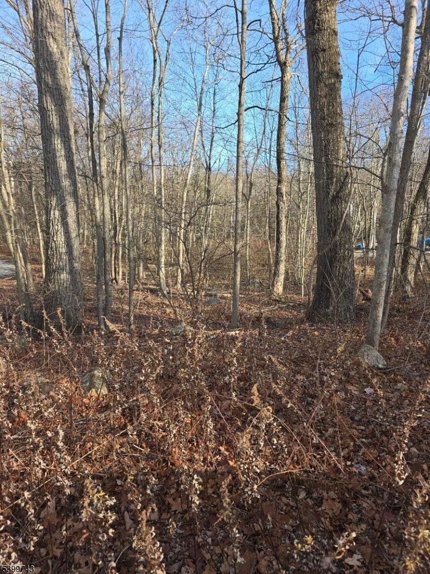 0 Linwood Road Hewitt, NJ 07421 - Photo 3 of 7 a view of backyard with green space