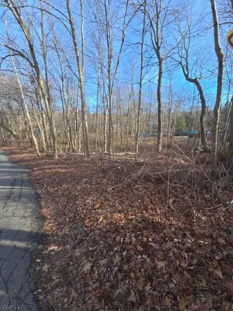 a view of dirt yard with large trees
