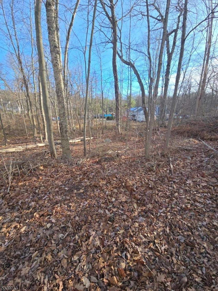 0 Linwood Road Hewitt, NJ 07421 - Photo 5 of 7 a backyard of a house with lots of green space
