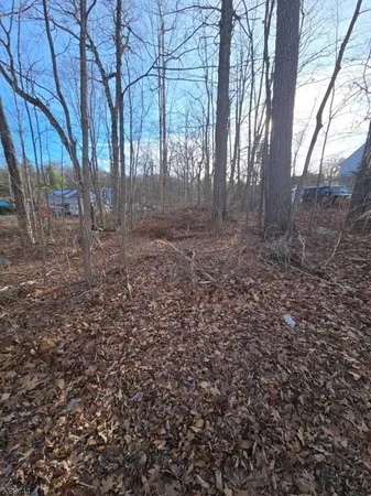 a view of a large yard with lots of green space