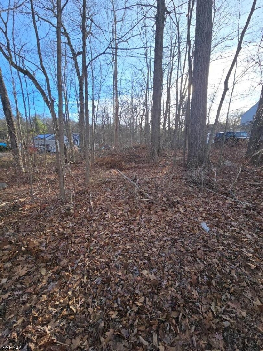 0 Linwood Road Hewitt, NJ 07421 - Photo 6 of 7 a view of a large yard with lots of green space