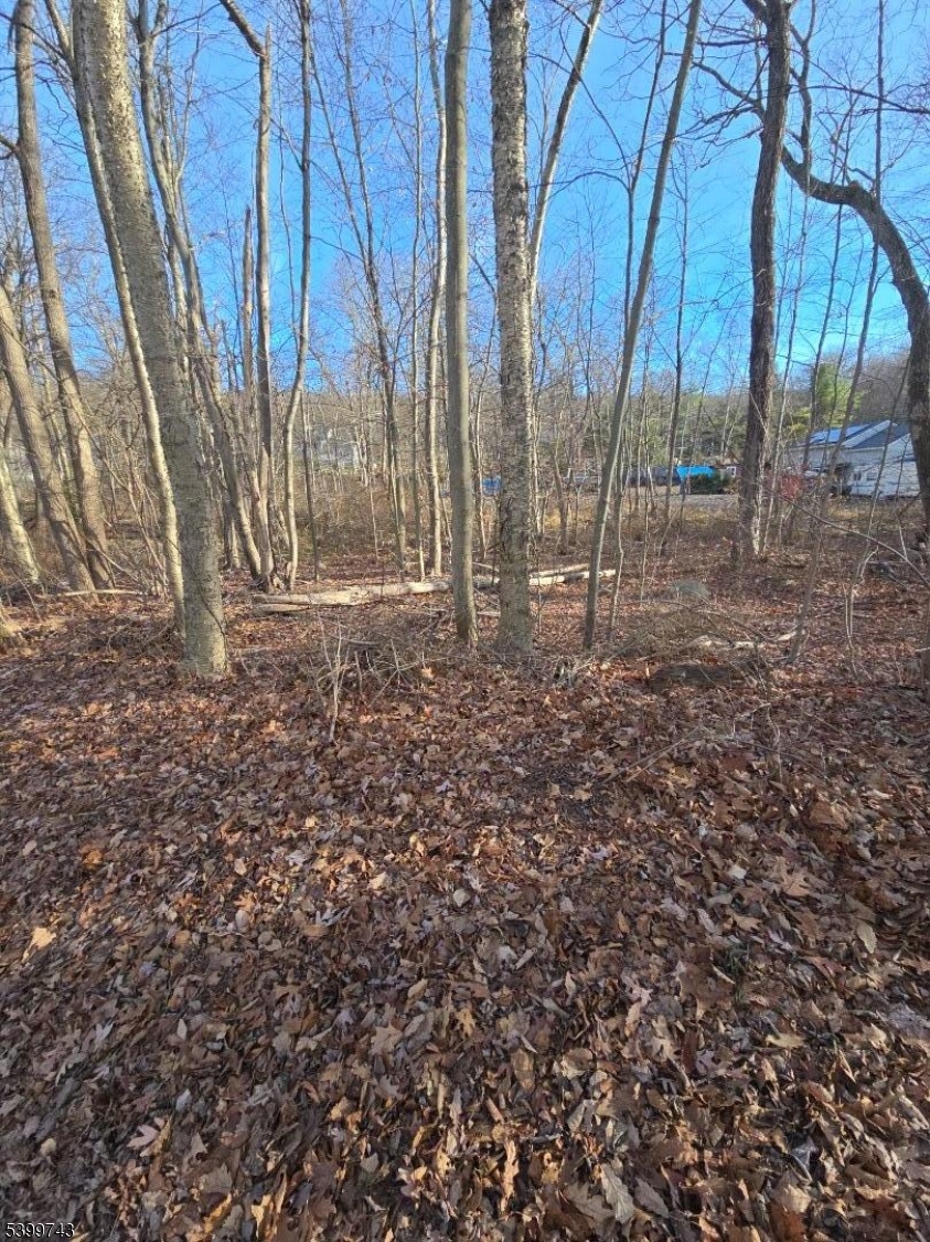 0 Linwood Road Hewitt, NJ 07421 - Photo 7 of 7 a view of a backyard