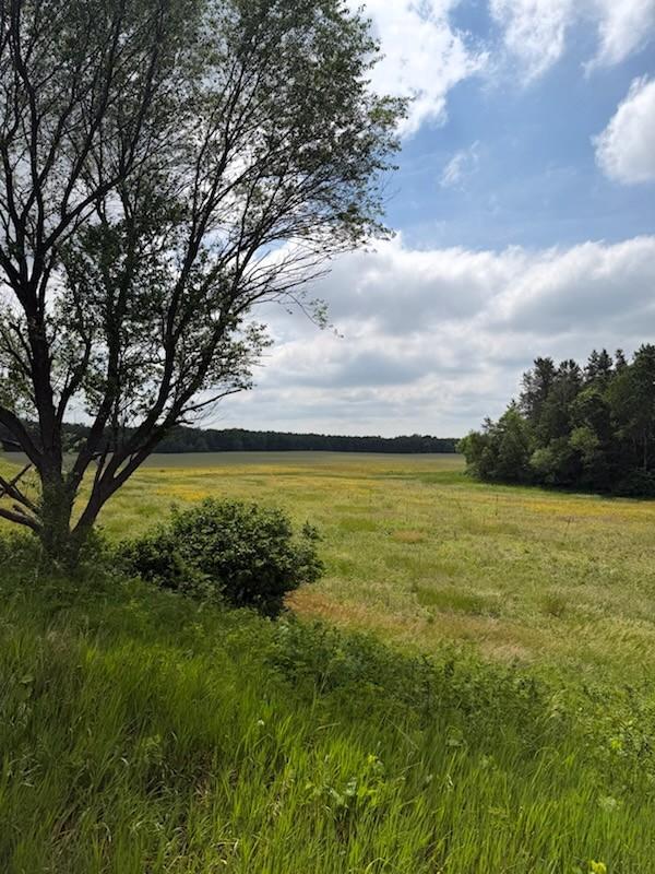 Lot 2 County Road Boyceville, WI 54725 - Photo 2 of 12