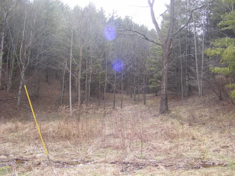564 Indigo Mountain Road Northwest Floyd, VA 24091 - Photo 12 of 43 DSCF5482 (800x600)