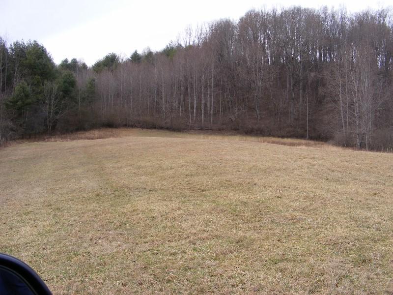 564 Indigo Mountain Road Northwest Floyd, VA 24091 - Photo 14 of 43 DSCF5484 (800x600)