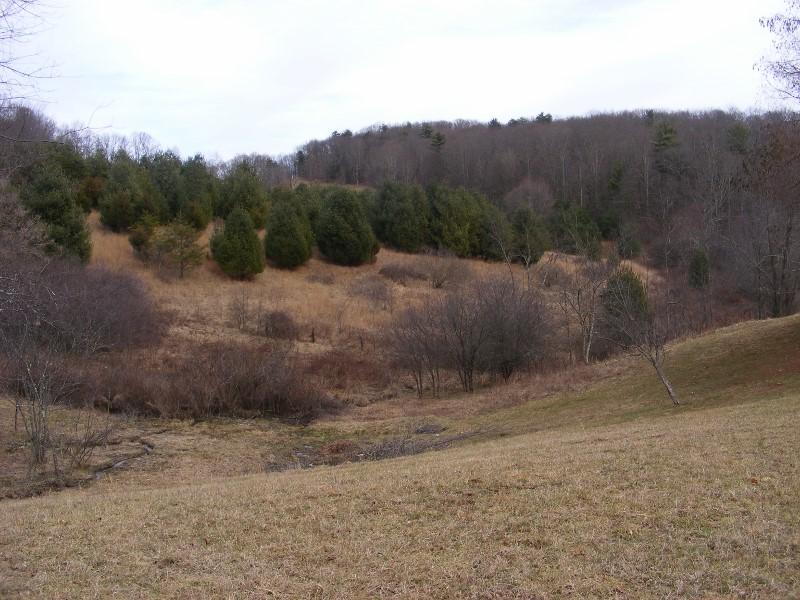 564 Indigo Mountain Road Northwest Floyd, VA 24091 - Photo 16 of 43 DSCF5486 (800x600)
