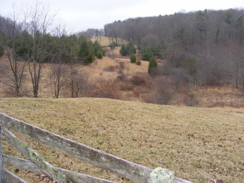 564 Indigo Mountain Road Northwest Floyd, VA 24091 - Photo 4 of 43 DSCF5426 (800x600)