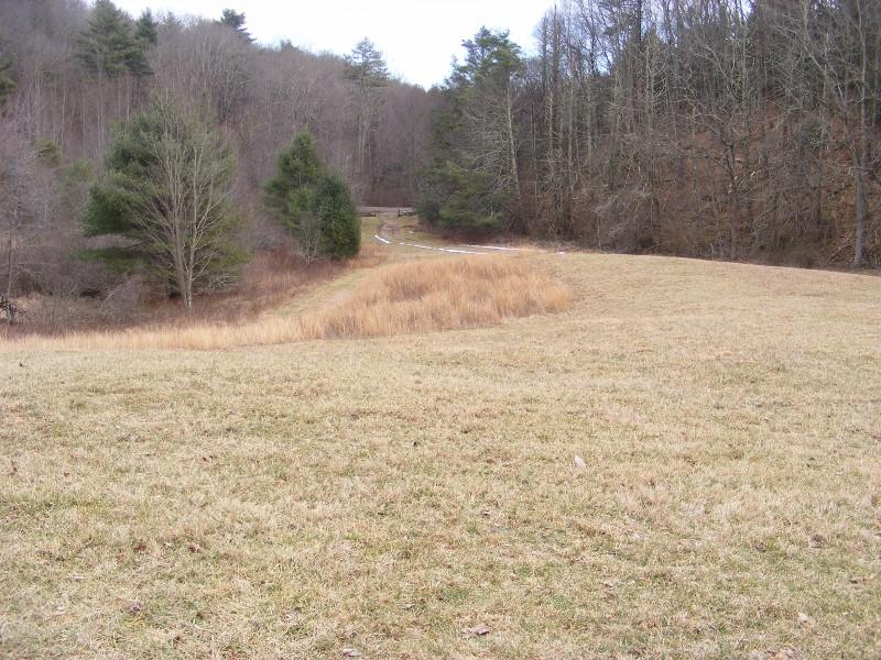 564 Indigo Mountain Road Northwest Floyd, VA 24091 - Photo 41 of 43 DSCF5511 (800x600)