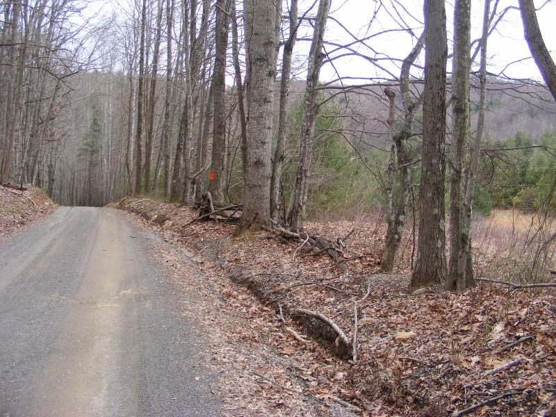 564 Indigo Mountain Road Northwest Floyd, VA 24091 - Photo 42 of 43 DSCF5513 (800x600)