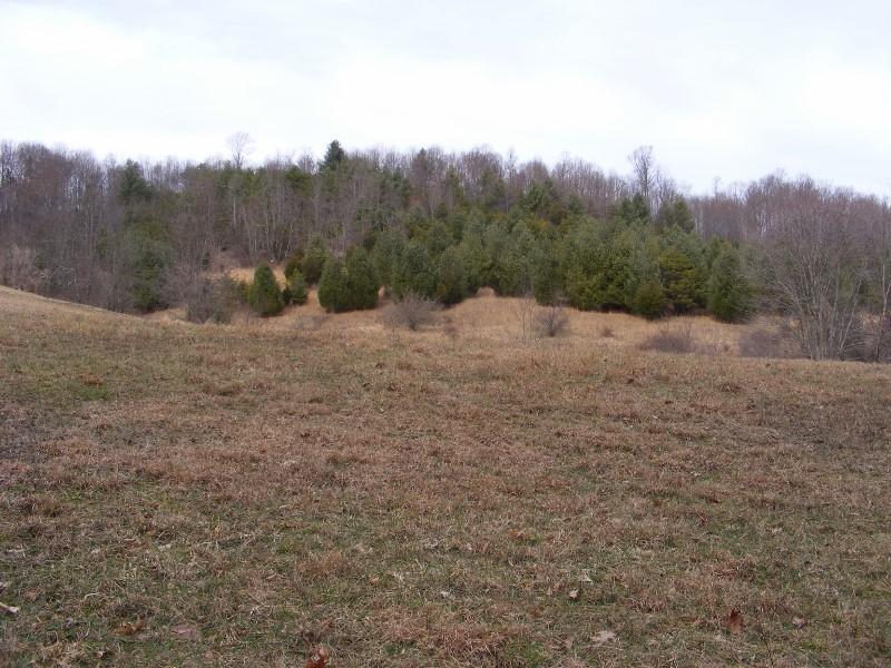 564 Indigo Mountain Road Northwest Floyd, VA 24091 - Photo 8 of 43 DSCF5478 (800x600)