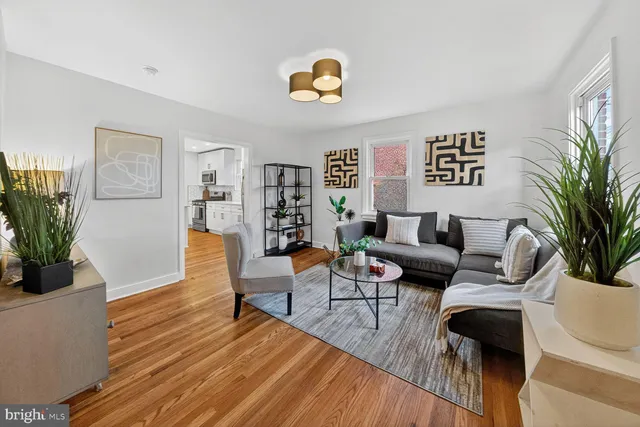 a living room with furniture and a potted plant